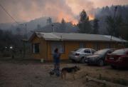 Chile: Damnificados piden ayuda y gobierno sospecha intencionalidad en incendios