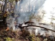 Llovió en Chubut, pero persisten los focos de incendio: Estamos atravesando la peor sequía desde 1965