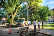 La Plaza Yrigoyen se renueva con obras de arbolado, paisajismo e iluminación