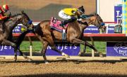 Super Corredora nombrada campeona de dos años en el Eclipse Award