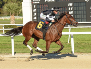 ¡Luce como lo más fijo del sábado!: Regresa una doble ganadora de Grado 1 en 2025