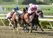 Mira esto: En la quinta válida para el 5y6 dominical hay un ejemplar que se perfila como el dato más corrido