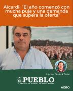 Aicardi: “El año comenzó con mucha puja y una demanda que supera la oferta” ‣ Martin Ferreira Pinto