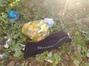 GPS en fármacos robados permite allanamiento y detención de dos personas en CDE