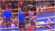 Inaudita situación: momento en que un boxeador gana por nocaut e inmediatamente en su celebración queda noqueado