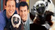 Nació Junius, el bisnieto del lémur de