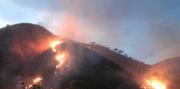 Incendio forestal en el Parque Nacional Henry Pittier: 22 de enero