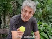 La campaña Démosle pelota al autismo de la AAT sumó a Gabriela Sabatini y convirtió una campaña solidaria en una política de inclusión