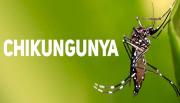 Alerta Salta: se confirma el primer caso de Chikungunya de la temporada con antecedente de viaje en Rosario de la Frontera