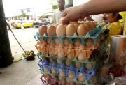 Sector avícola eliminó gallinas para elevar el precio del huevo