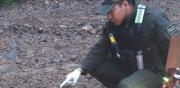 Dos hombres ejecutados a balazos en Sivingani, Cochabamba