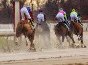 Frío extremo en Maryland: Laurel Park cancela su jornada de este sábado
