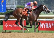 Baja sensible: Tommy Jo se lesiona y pierde la ruta hacia las Kentucky Oaks