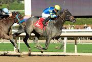 Última Hora: Madaket Road queda fuera de la Pegasus World Cup