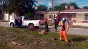 Servicios Urbanos de la Capital desmalezó los espacios verdes de los barrios Reconquista e Independencia