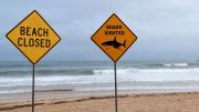 Cuatro ataques en dos días: Niño de 12 años muere tras ser mordido por un tiburón en Australia