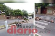 Derribó palmera y poste de luz en Av. Belgrano, huyó y fue interceptado
