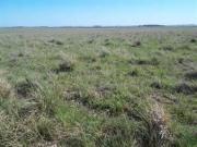 En arrendamiento de Campos /Salto se ubica en el  podio después de Paysandú y sobre Artigas