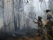 Expertos analizan la mente detrás de los incendios intencionales