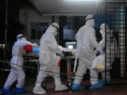 Alerta mundial por el virus Nipah: síntomas, cómo se contagia y todo sobre el brote en India que no tiene vacuna