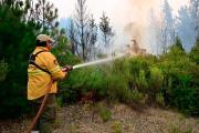 Incendios en Chubut: intervinieron el Parque Nacional Los Alerces