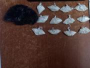 Sentenciado por tráfico de drogas a mediana escala