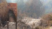 Chubut: intervienen el Parque Nacional Los Alerces por los incendios forestales