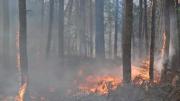 Intervendrán la Administración del Parque Nacional Los Alerces por los incendios forestales