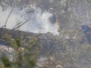 Mientras sigue el combate a los incendios forestales en la Patagonia, el Gobierno intervino el Parque Nacional Los Alerces