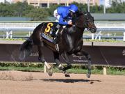 Junior Alvarado brilla sobre Knightsbridge en el Fred W.Hopper Stakes (G3)