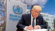 Jefe de OMS dice que los motivos de EE.UU. para retirarse de la agencia son falsos