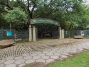 Tarde de juegos en el parque Percy Hill