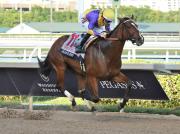 Inside Information Stakes (G2): Otra selectiva para Junior Alvarado en Gulfstream Park