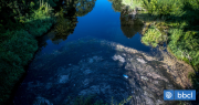 Red Ambiental de Osorno advierte que río Damas no está apto para el baño, pese a menor contaminación