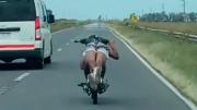 Conducción peligrosa: grabaron a un hombre manejando acostado sobre su moto