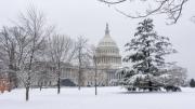 Tormenta invernal paraliza Washington: oficinas federales cerradas y Senado aplaza sesión