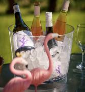 Tarija: Aprende a eligir el vino correcto según lo que vas a comer