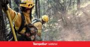 Bomberos voluntarios de Chile se suman a los más de 500 brigadistas provinciales y nacionales