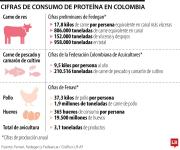 La carne de pollo es la proteína más consumida, con 1,9 millones de toneladas al año