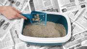 Cómo hacer arena para gatos casera con papel de diario reciclado