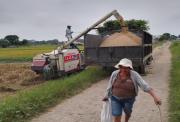 Colombia cierra sus puertas y el arroz de Ecuador queda a la intemperie