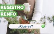 El SENASA ya exige registro a quienes vendan plantas y plantines por redes sociales