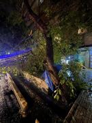 Las tormentas dejaron destrozos y más de 110 intervenciones en distintos departamentos