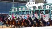 Oaklawn Park se prepara para recibir a los potros de tres años que buscan la ruta al Kentucky Derby y Kentucky Oaks