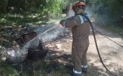 Se incendió una zona de montes de eucaliptos en Arturo Seguí