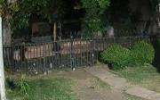 VIDEO. Otra entradera frustrada en San Carlos: vecinos apuntan a la misma banda
