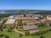 La fábrica de envases de papel que exporta de Misiones a 40 países