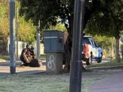 Tensión en Córdoba: lanzaron una granada contra un patrullero de la Policía en medio de un operativo