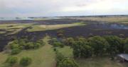 Un voraz incendio puso en jaque a La Balandra y amenazó zonas rurales cercanas en Berisso