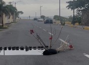 Hueco en la avenida José María España causa retraso vehicular